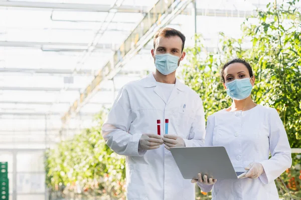 Multiethnic quality inspectors in medical masks looking at camera while standing with test tubes and laptop in greenhouse — Stock Photo