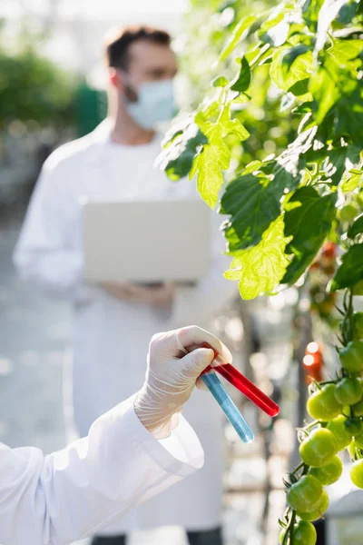 Ispettore di qualità in possesso di provette vicino collega in maschera medica su sfondo sfocato — Foto stock