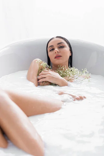 Seductive woman with white, tiny lowers looking at camera while bathing in milk — Stock Photo