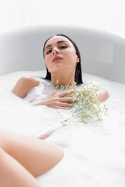 Чуттєва жінка дивиться на камеру, приймаючи ванну з молоком і білими, крихітними квітами — стокове фото