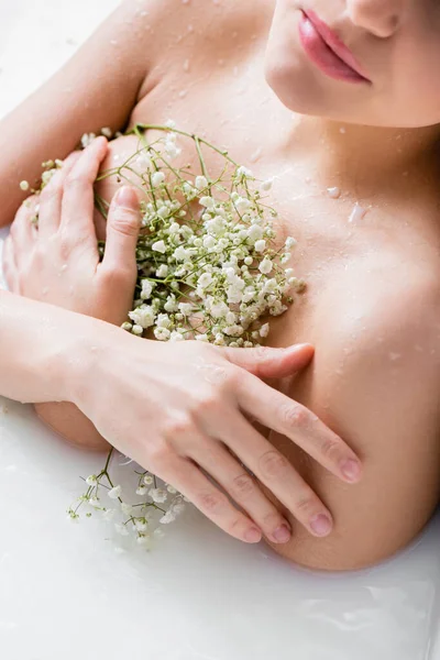 Частковий вид жінки з квітами гіпсофіли, що приймають молочну ванну — стокове фото