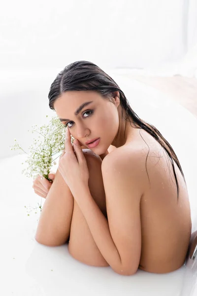 Sensual woman with gypsophila flowers looking at camera while sitting in bath with milk — Stock Photo