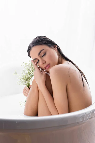 Красива жінка сидить у ванні з молоком, тримаючи квіти гіпсофіли — стокове фото