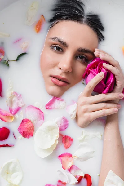 Young woman holding rose while taking milk bath with petals — Stock Photo