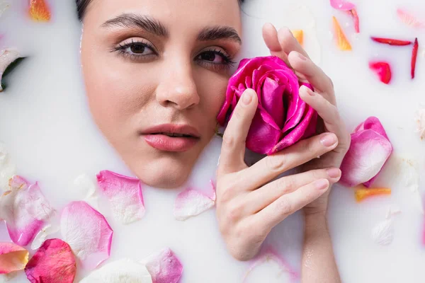 Junge Frau blickt in die Kamera und hält eine Rose in der Hand, während sie in Milch mit Blütenblättern badet — Stockfoto