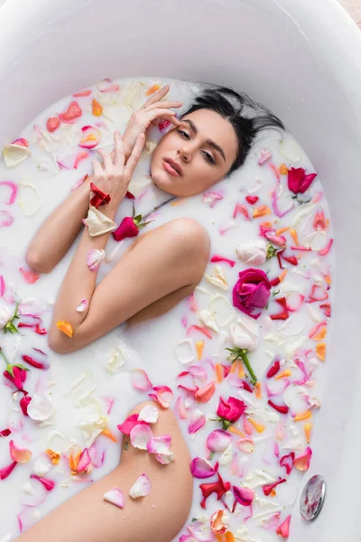 Вид зверху на спокусливу жінку, дивлячись на камеру під час купання в молоці з пелюстками троянд — стокове фото