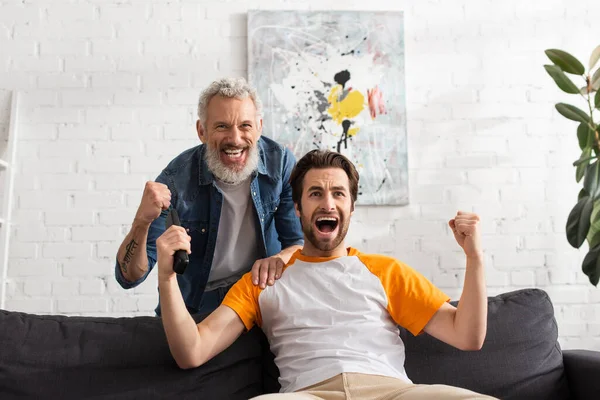 Padre e hijo mostrando sí gesto mientras ve la televisión en casa - foto de stock