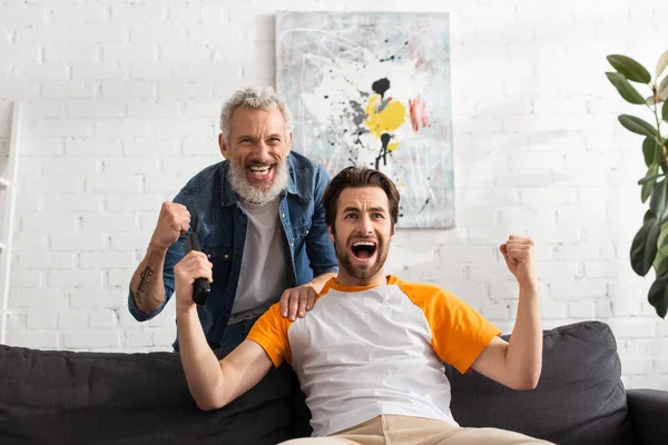 Père et fils montrant un geste oui en regardant la télévision à la maison — Photo de stock