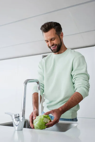 Hombre alegre sonriendo mientras lava lechuga fresca en la cocina - foto de stock