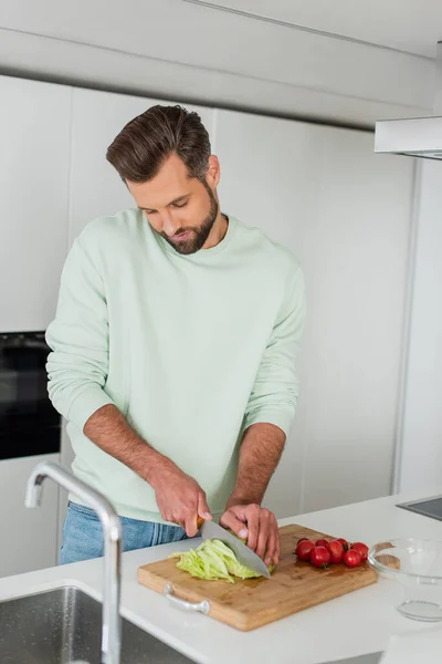 Hombre cortar lechuga fresca cerca de tomates cherry mientras prepara el desayuno - foto de stock
