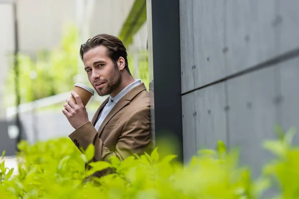Hombre de negocios en ropa formal sosteniendo taza de papel cerca de plantas borrosas afuera - foto de stock