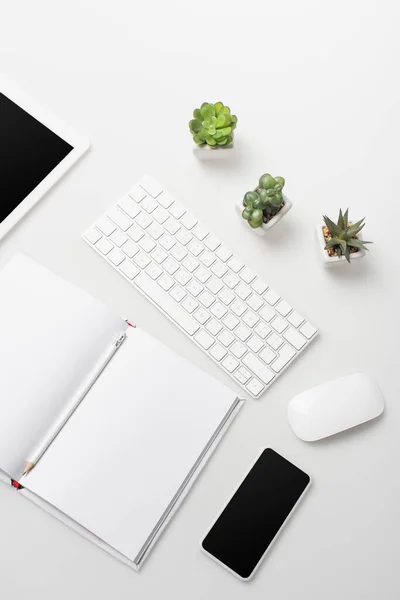 Vista dall'alto di gadget con schermo bianco vicino a piccole piante, tastiera e notebook con matita su bianco — Foto stock