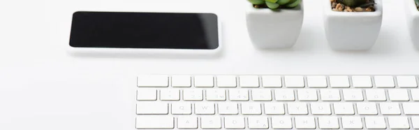 Smartphone avec écran blanc près de petites plantes et clavier d'ordinateur sur blanc, bannière — Photo de stock