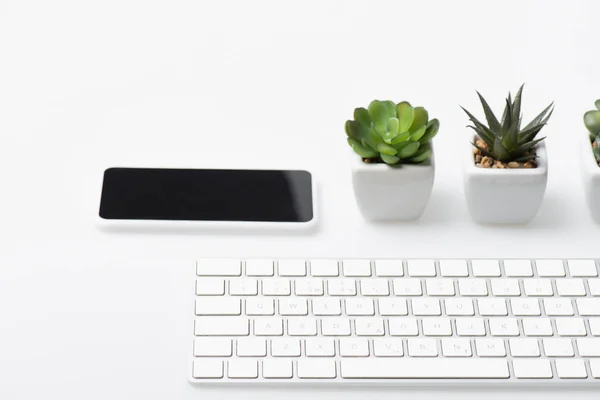 Смартфон з порожнім екраном біля невеликих рослин і комп'ютерною клавіатурою на білому — стокове фото