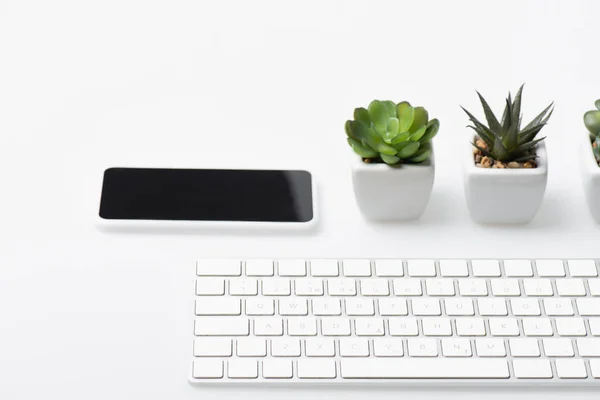 Smartphone avec écran blanc près de petites usines et clavier d'ordinateur sur blanc — Photo de stock