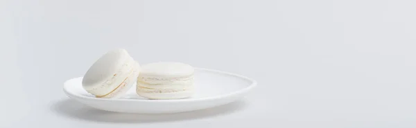 Délicieux macarons sur assiette isolé sur blanc, bannière — Photo de stock