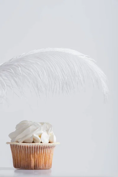 Schwerelose und weiche Federn in der Nähe von leckeren Cupcake isoliert auf weiß — Stockfoto
