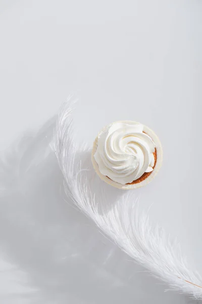 Vue de dessus de plumes en apesanteur et doux près de délicieux cupcake sur blanc — Photo de stock