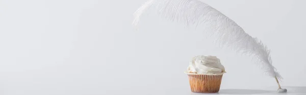 Pluma suave e ingrávida cerca de sabroso cupcake en blanco, bandera - foto de stock