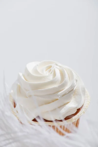 Pluma suave borrosa cerca de sabroso cupcake aislado en blanco - foto de stock