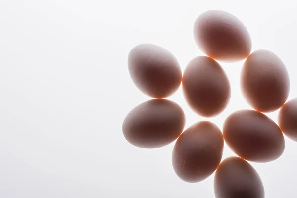 Vista inferior de huevos crudos y orgánicos aislados en blanco - foto de stock