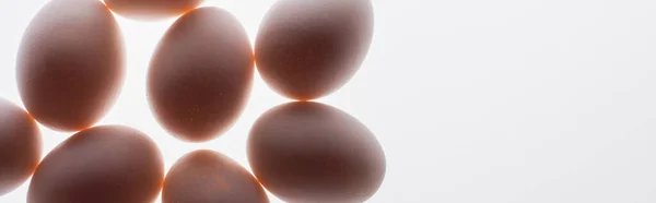 Vista inferior de huevos crudos y orgánicos aislados en blanco, pancarta - foto de stock