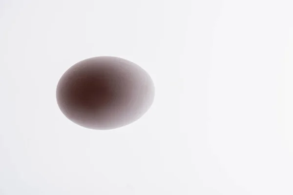 Bottom view of raw and organic egg isolated on white — Stock Photo