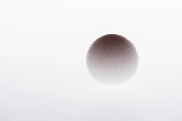 Bottom view of organic egg isolated on white — Stock Photo