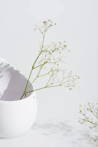 Rami con piccoli fiori fioriti in vaso su sfondo bianco — Foto stock