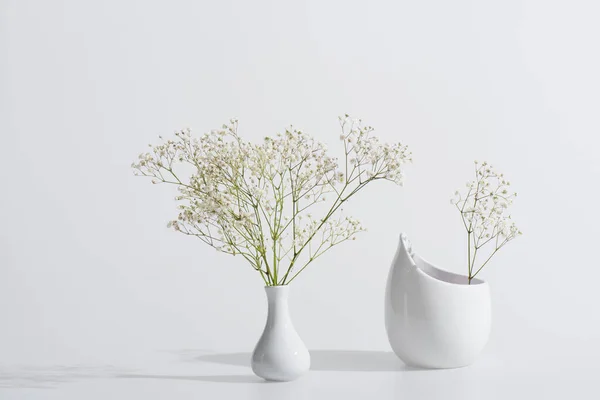 Branches with blooming flowers in vases on white background — Stock Photo