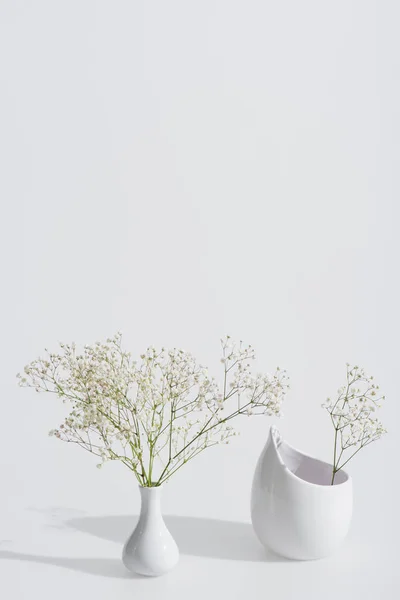 Branches with blossoming flowers in vases on white background — Stock Photo