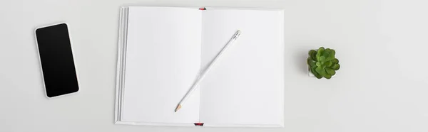 Vista superior do notebook com lápis, planta verde e smartphone com tela em branco isolado em branco, banner — Fotografia de Stock
