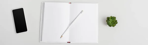 Vue du haut du carnet avec crayon, plante verte et smartphone avec écran vierge isolé sur blanc, bannière — Photo de stock