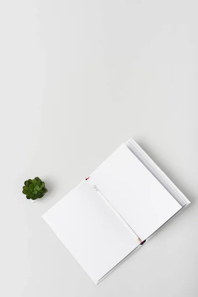 Plat posé avec bloc-notes vierge avec crayon près de la plante verte isolée sur blanc — Photo de stock