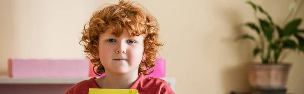 Curly boy looking at camera in montessori classroom, banner — Stock Photo