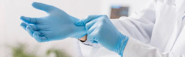 Partial view of physician putting on blue latex gloves in clinic, banner — Stock Photo