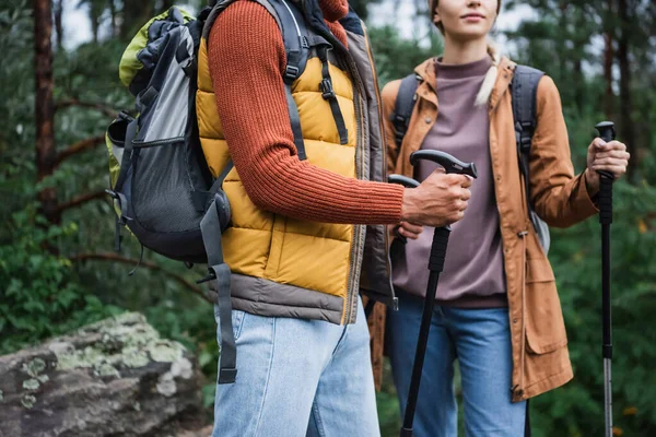 Cropped view of woman holding hiking sticks and walking with boyfriend in forest — Stock Photo