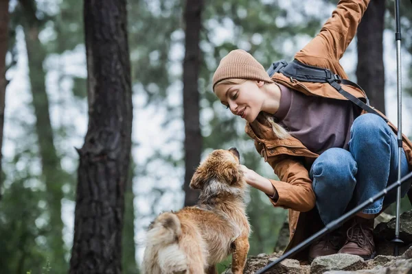 Donna allegra in cappello coccole cane nel bosco — Foto stock