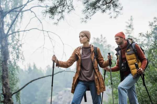 Paar in Hüten mit Wanderstöcken beim Trekking im Wald — Stockfoto