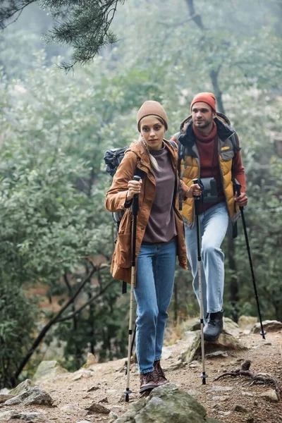 Intera lunghezza di coppia in cappelli che tengono bastoni da trekking durante il trekking nella foresta — Foto stock