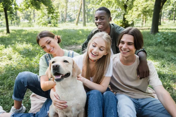 Sorrindo interracial adolescentes petting retriever no parque — Fotografia de Stock