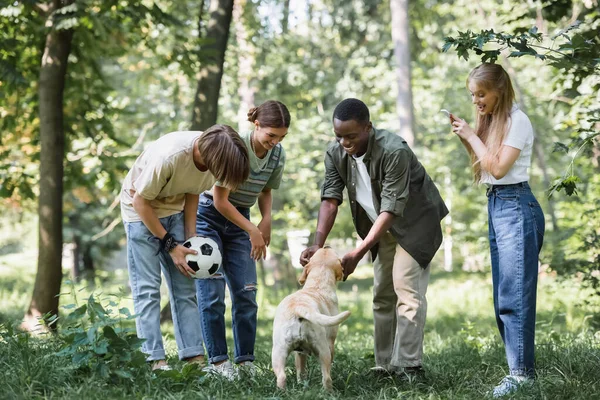 Interracial teenagers with smartphone and football ball petting retriever in park — Stock Photo