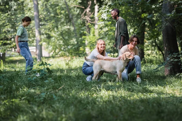 Adolescents souriants jouant avec retriever près d'amis multiethniques dans le parc — Photo de stock