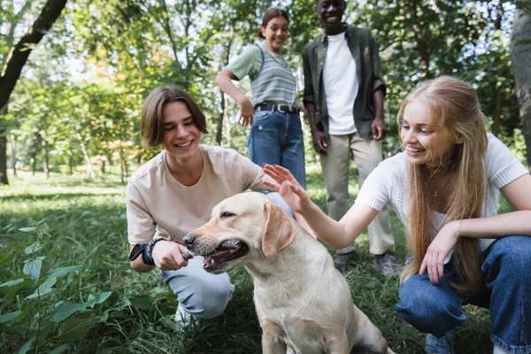Smiling teenagers petting retriever with stick near blurred multiethnic friends — Stock Photo
