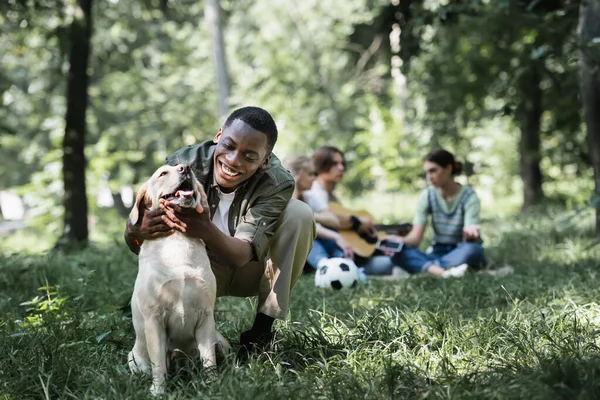 African american teenager petting retriever near blurred friends in park — Stock Photo