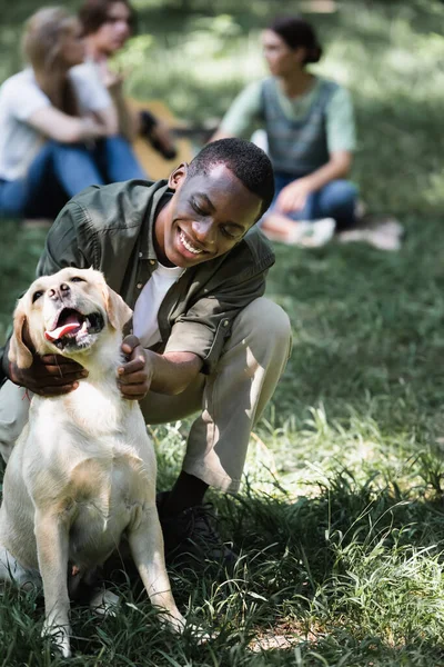 Africano americano ragazzo petting retriever su prato in parco — Foto stock