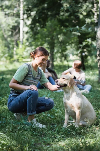 Smiling teenage girl looking at retriever near blurred friends in park — Stock Photo