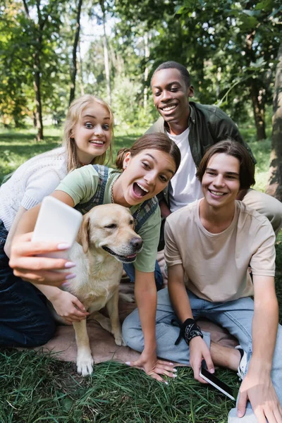Positive multiethnic teenagers with retriever taking selfie on cellphone in park — Stock Photo