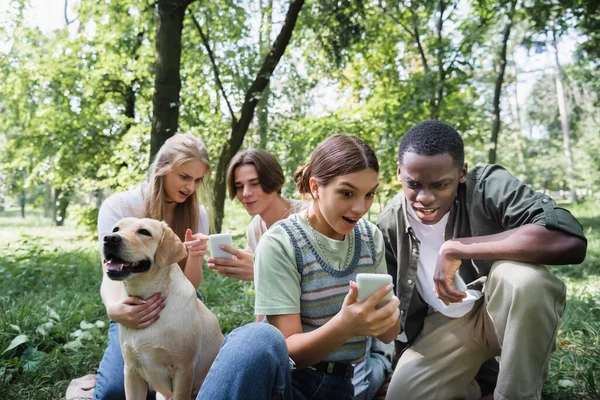Amazed interracial teenagers using smartphone near retriever in park — Stock Photo