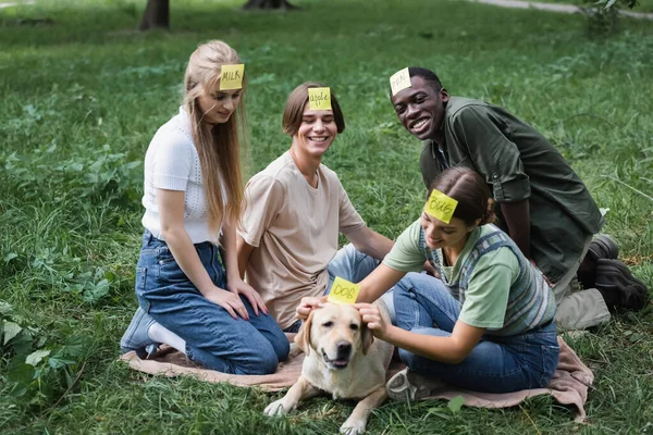 Cheerful multiethnic friends looking at retriever while playing who i am in park — Stock Photo